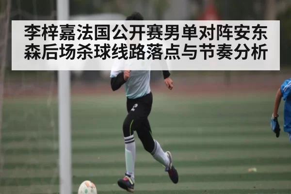 李梓嘉法国公开赛男单对阵安东森后场杀球线路落点与节奏分析 - BOB